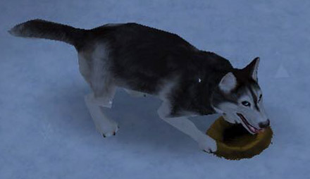 シムオリオンを掘り起こした穴の前で、どや顔をするハスキー犬（The Sims フリープレイ）