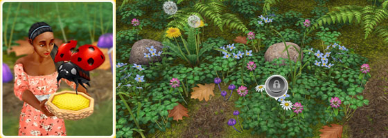 魔法の熱帯雨林、テントウムシの友達（The Sims フリープレイ）