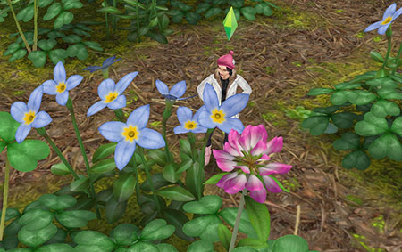 魔法の熱帯雨林で巨大植物を眺めるシム（The Sims フリープレイ）