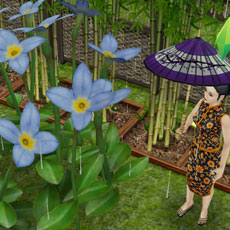雨の中、傘をさして紫陽花を眺める奥様シム（The Sims フリープレイ）